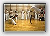 IMG_7390.JPG