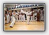 IMG_4622.JPG