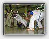 IMG_0110.JPG