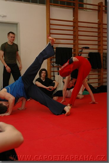 DSC_1496.jpg