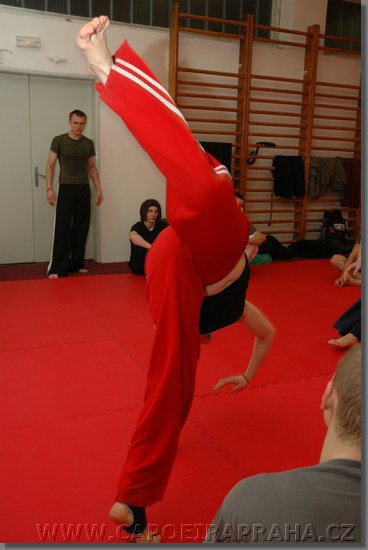DSC_1497.jpg