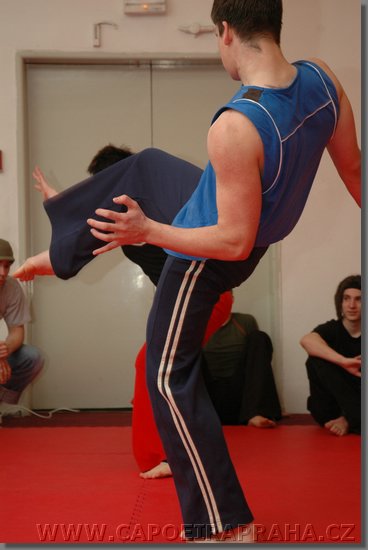 DSC_1501.jpg