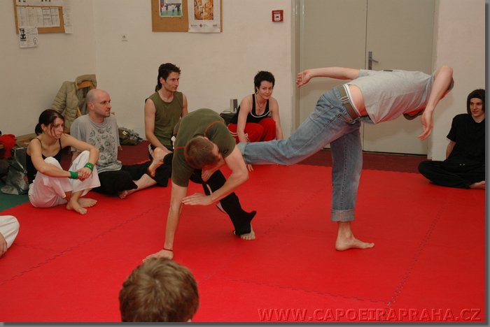 DSC_1516.jpg