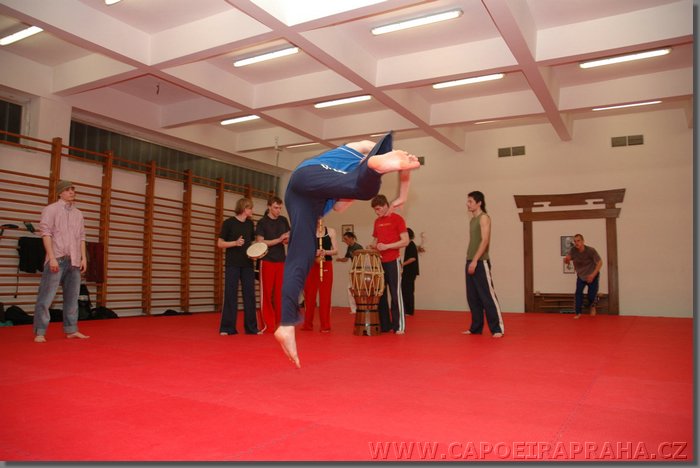 DSC_1551.jpg