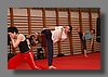 DSC_1407.jpg