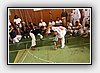 IMG_7341.JPG