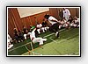 IMG_7425.JPG
