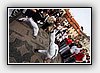 IMG_7695.JPG