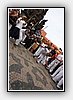 IMG_7721.JPG