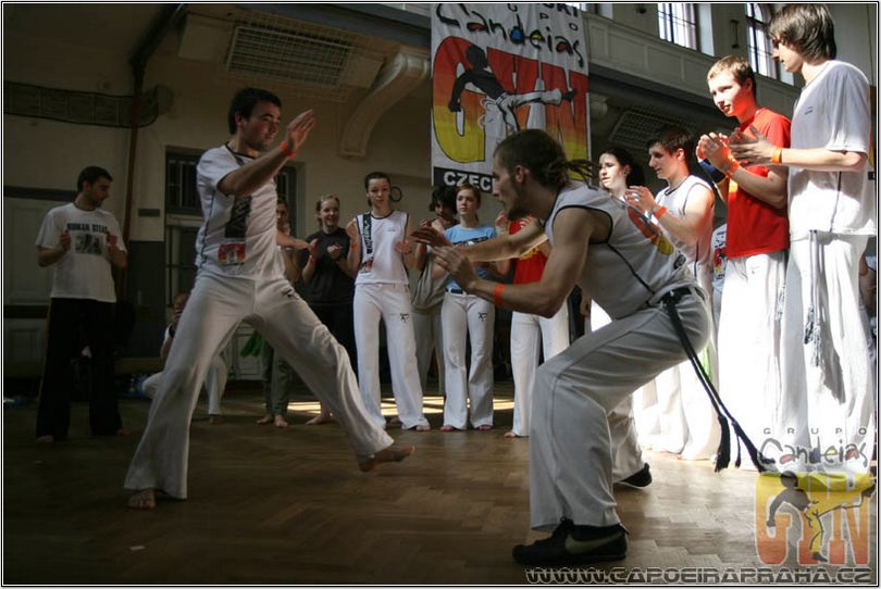 37.jpg